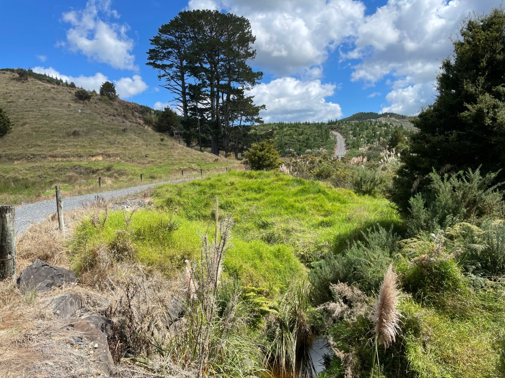 New Zealand