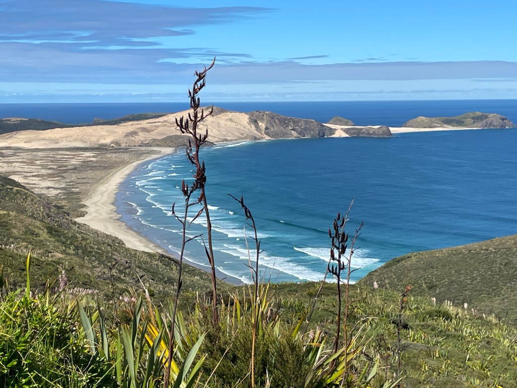 New Zealand