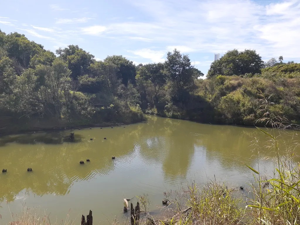 Mary River at Gympie